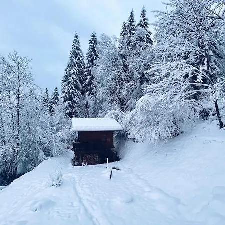 Mazot Du Bois Les Houches